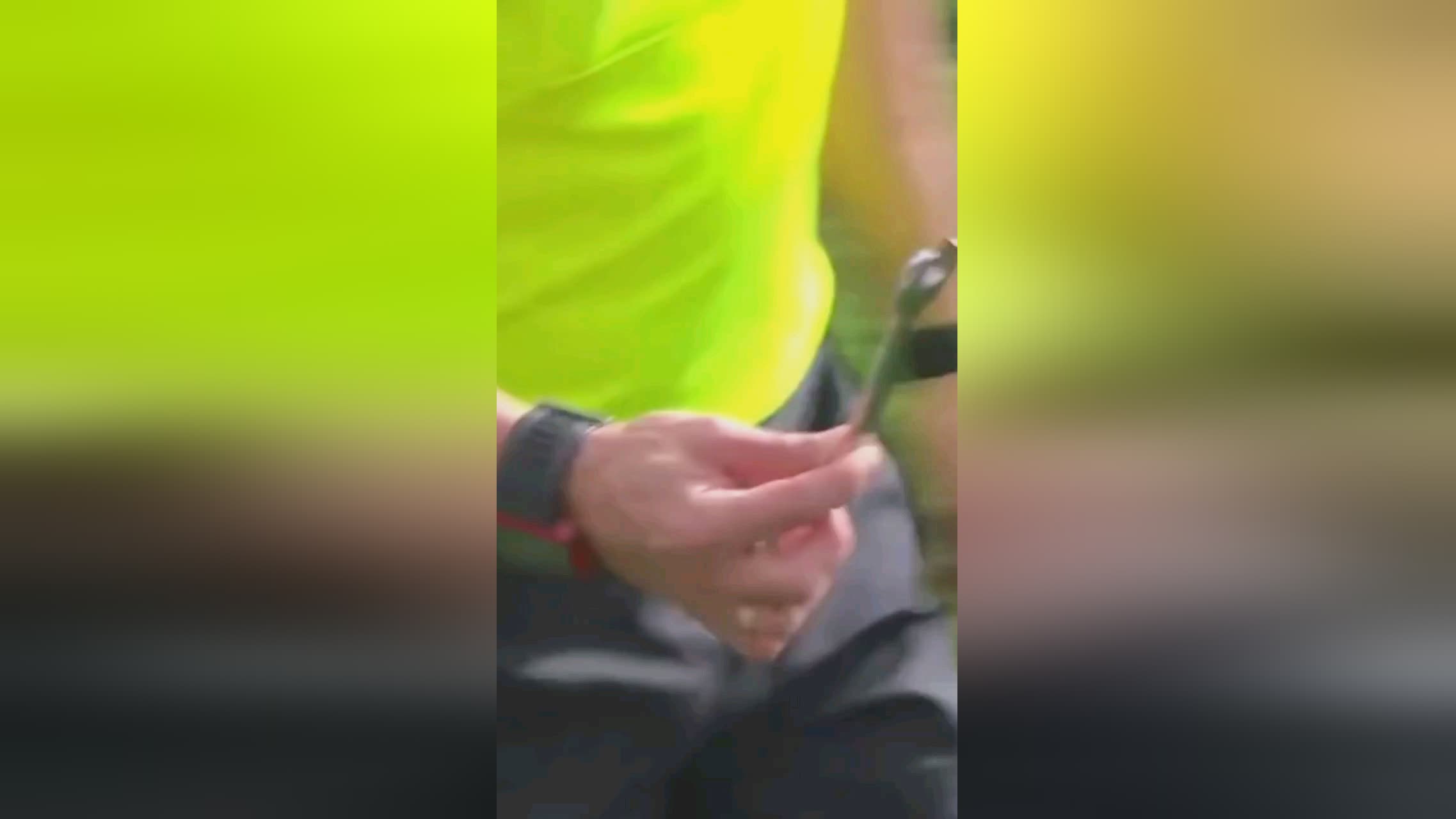 子特别